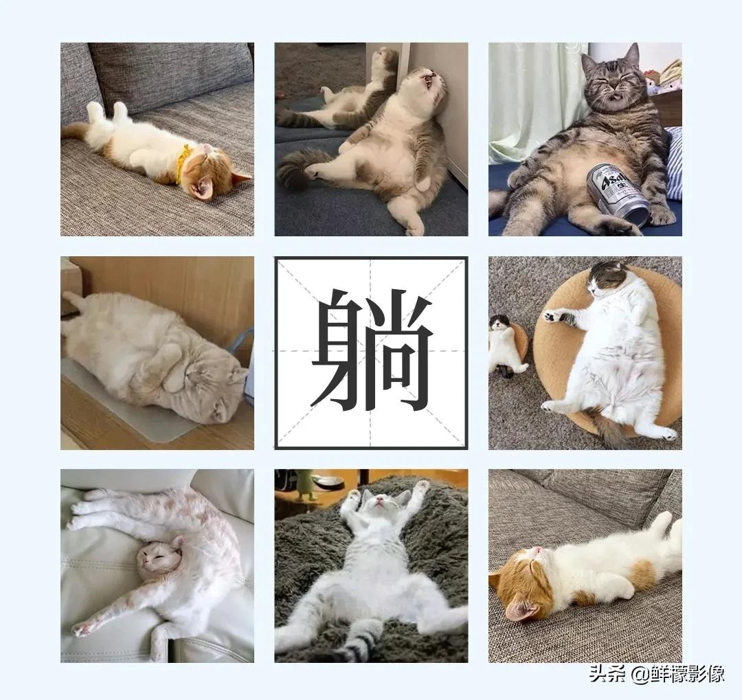 当代佛系青年的反内卷,从“轻”拍婚纱照开始