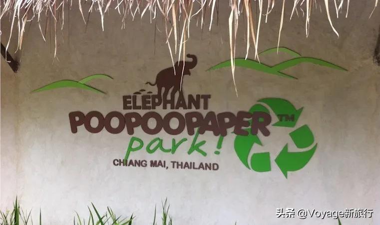 暑期出境游推荐,暑假适合去的国外旅游