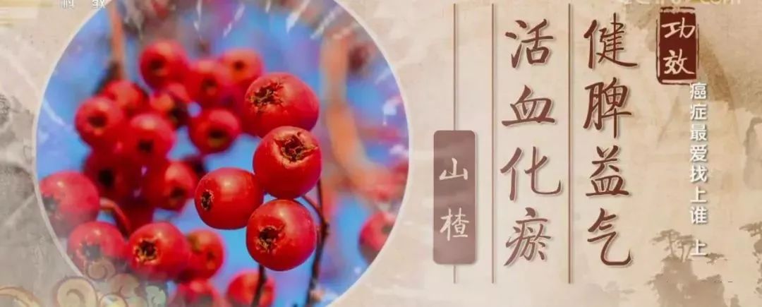 23岁女子患外阴癌癌前病变,23岁外阴癌变化