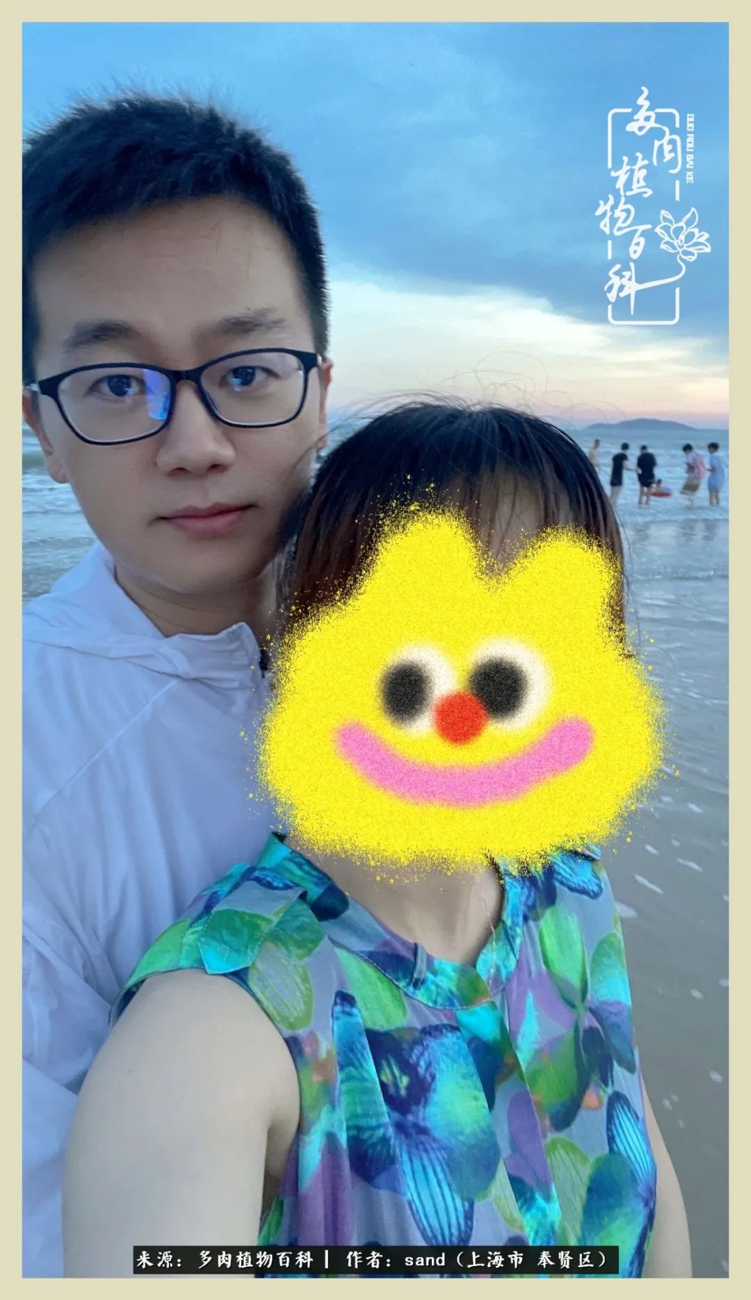 多肉怎么度过三伏天,多肉在三伏天怎么度夏