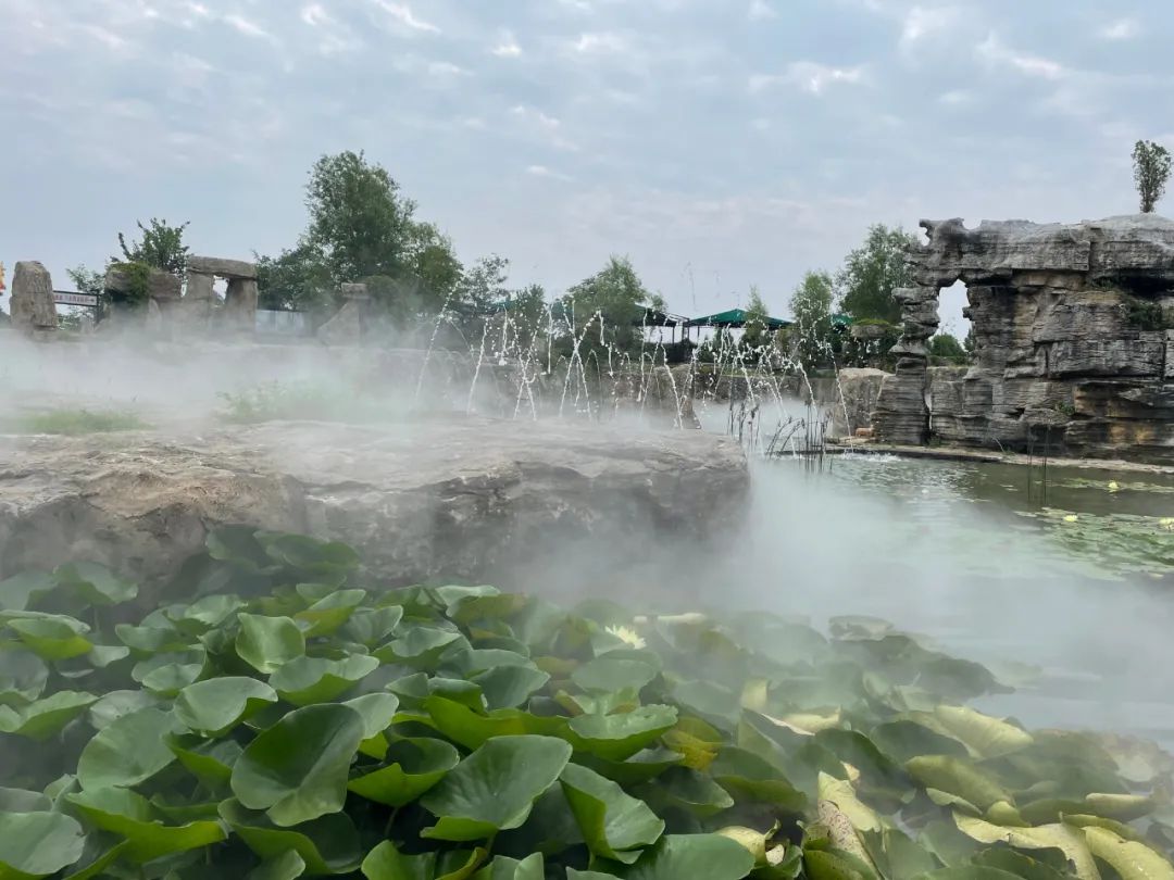 “神兽”归笼，九月临沂天上王城许你一个醉美秋天！