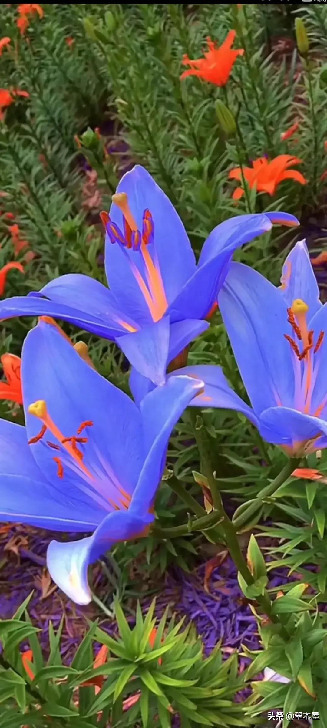 正义终将战胜邪恶对不对,正义终将战胜邪恶原唱