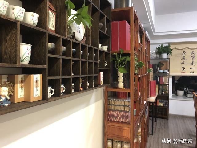 每天喝茶就是对茶最好的尊重,每天一杯茶精神一整天