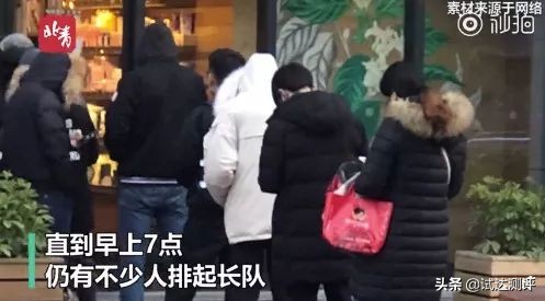 被星巴克“猫爪杯”收割智商税？这只猫能帮你提高智商，亲测有效