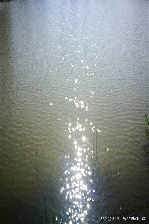 黑暗中，与畜生对话