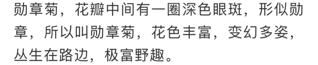 看到花的时候,不知是什么花?那就收下这份百花图谱