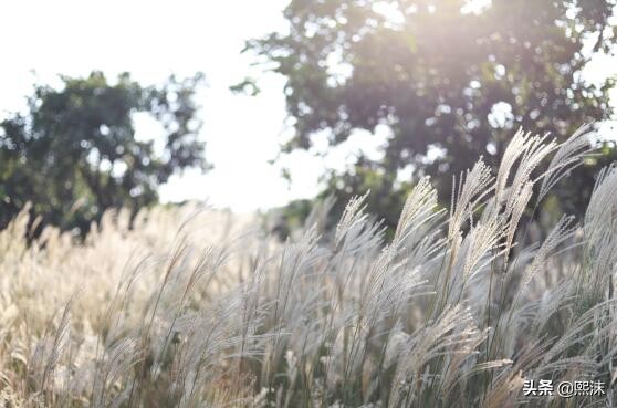 十一月很孤单,十一月孤独寂寞