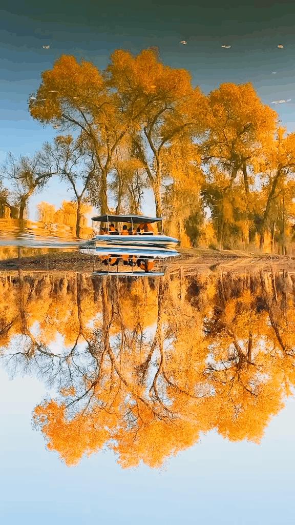 如果你不了解现实你就去看历史,如果你不了解历史就无法展望未来