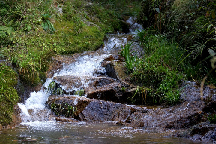 为什么少数民族小姐姐的头发浓密乌亮，这3点是关键