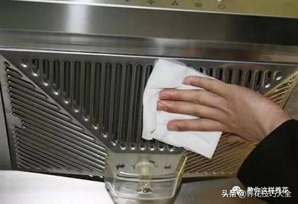 养花必备四种调料,养花最好的4种料