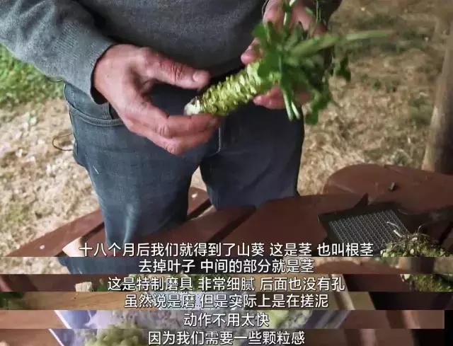 800一斤的菜,800元一斤的东西是什么