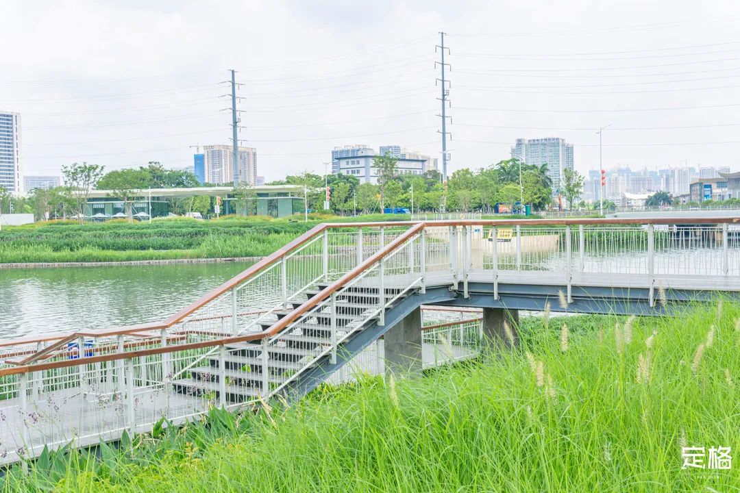 沙井万丰哪里的生蚝好吃,深圳沙井生蚝最出名店