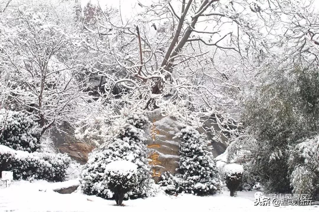 雪后的临沭小城，美得令人窒息