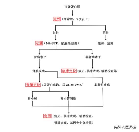 正常人的尿液里有白色絮状物吗,正常人的尿液中有葡萄糖吗