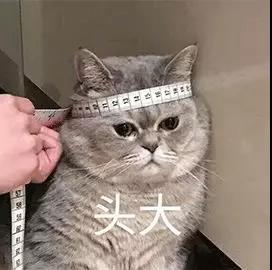 花爸测评奶粉三段,花爸测评妈咪爱