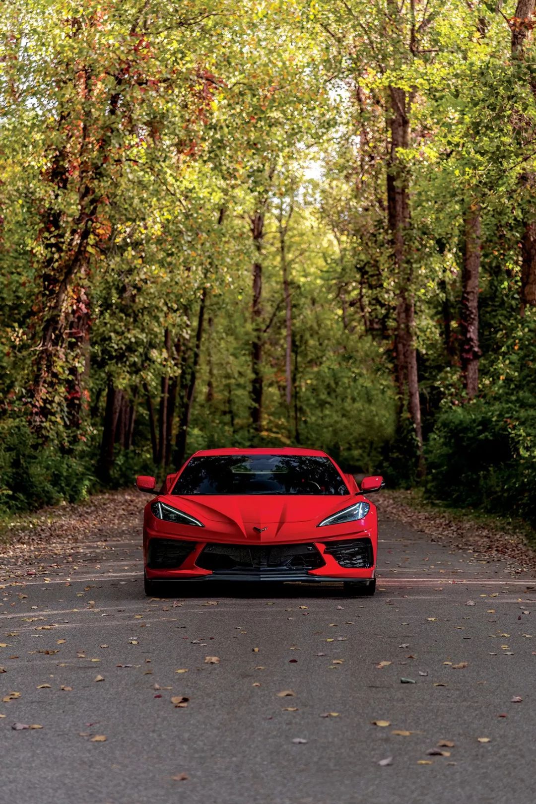 科尔维特像法拉利,法拉利科尔维特价格