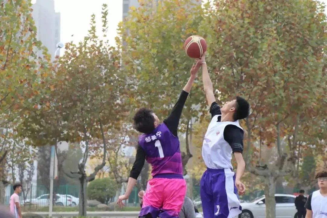 徐州生物工程职业学院2024年单招,徐州生物工程职业技术学院升本科