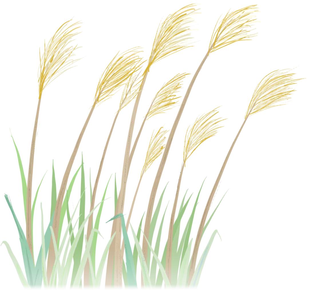 合肥市天蓝水碧土净,天蓝水碧土净