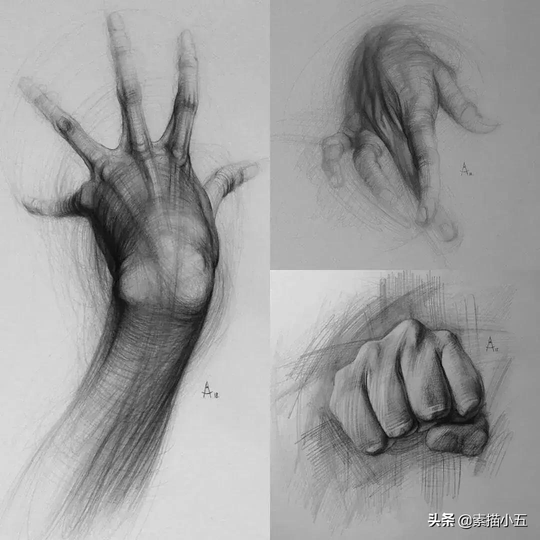 他画的素描无与伦比,他画的画栩栩如生让人拍案叫绝