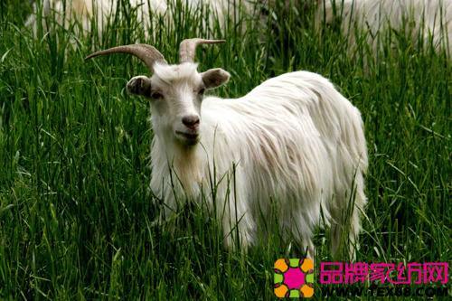 复合绒面料衣服的优缺点,化纤面料的优缺点和危害