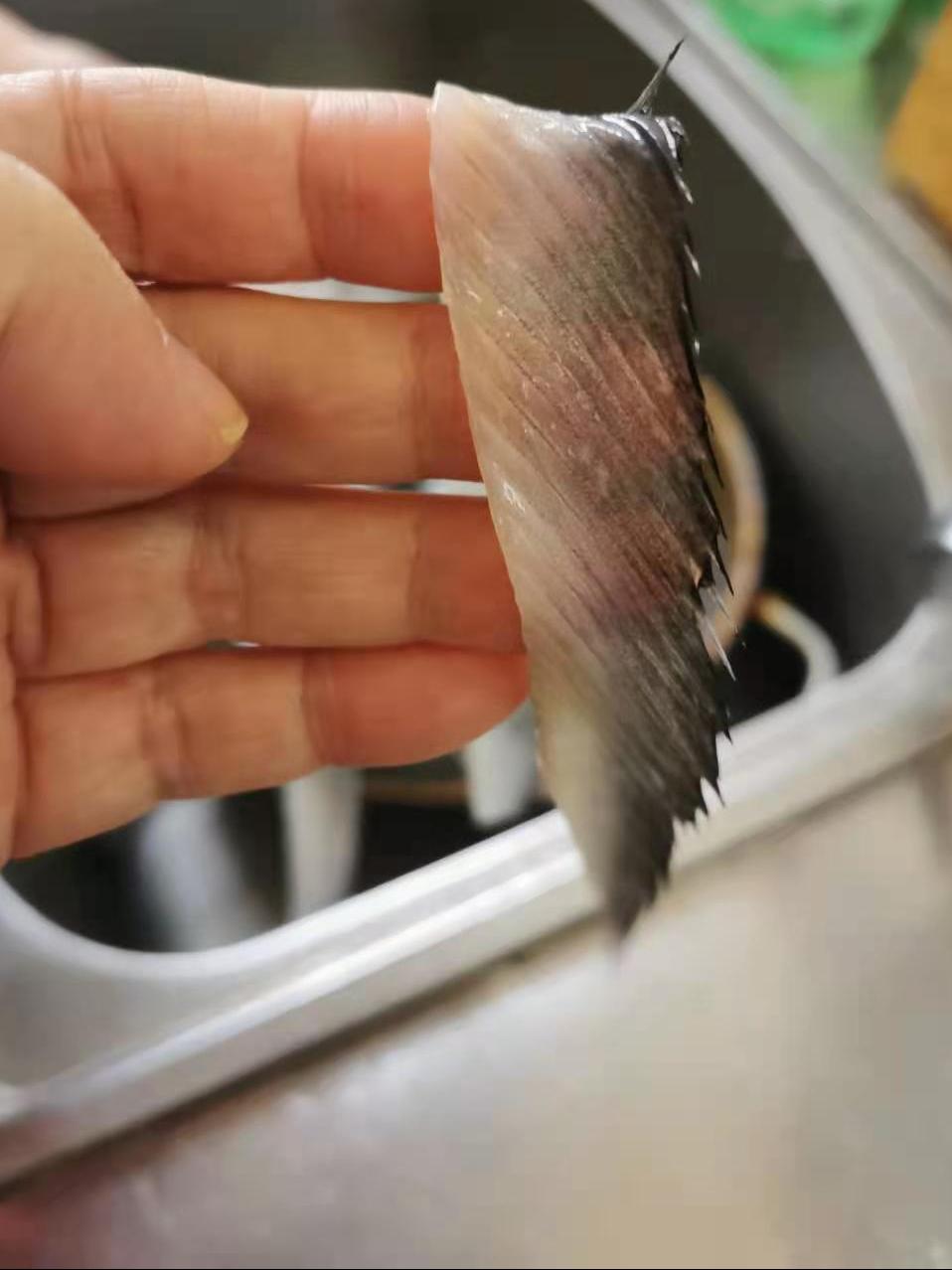 带鱼怎么处理干净外皮,带鱼怎么收拾干净详细步骤