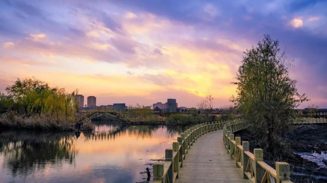 园外园怎么样,园外园名园