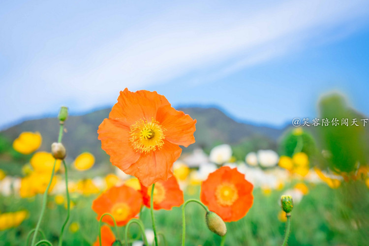 4天3晚只要800贵州攻略,4天3晚有什么好玩的地方