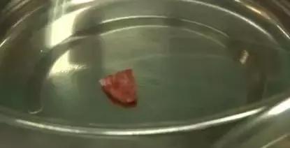 协和整形美容科专家,北京协和整形鼻综合