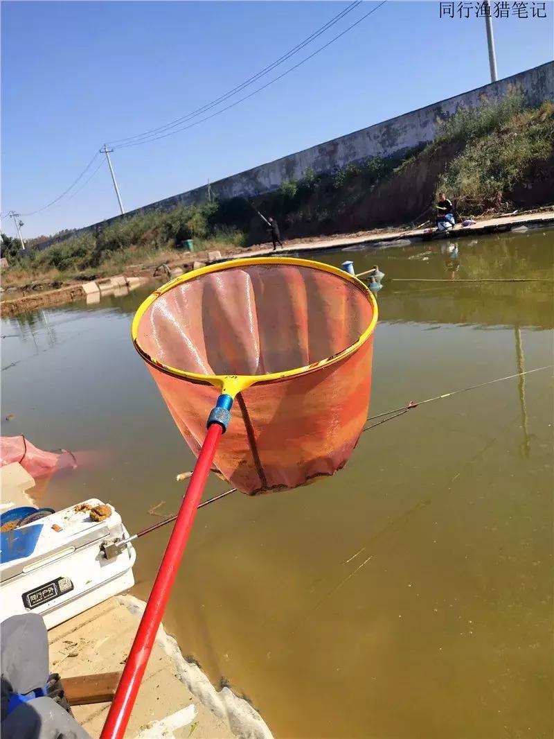 钓鱼笔记30个视频,钓鱼笔记最新视频