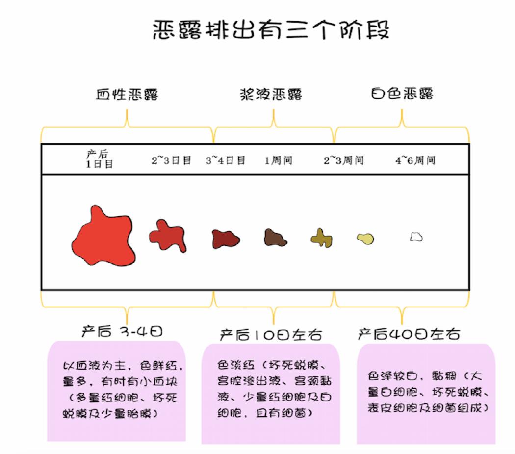 产后恢复最全干货,产后恢复干货知识瑜伽