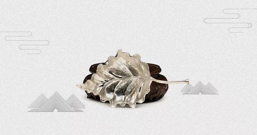 茶漏是必须的吗,茶漏你用对了吗