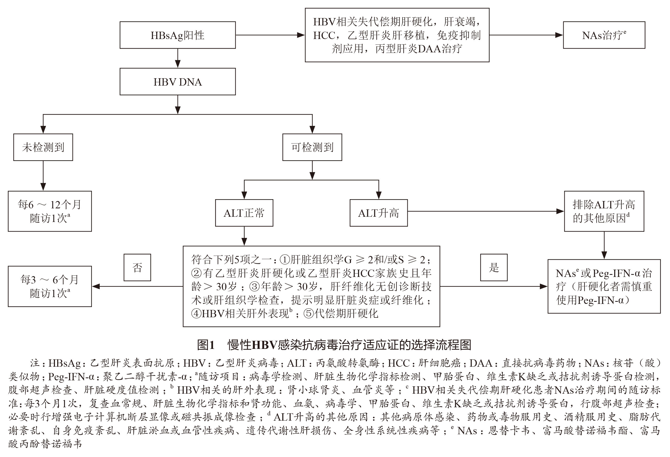慢性乙型肝炎防治指南2019年版,慢性乙型肝炎防治指南2019年