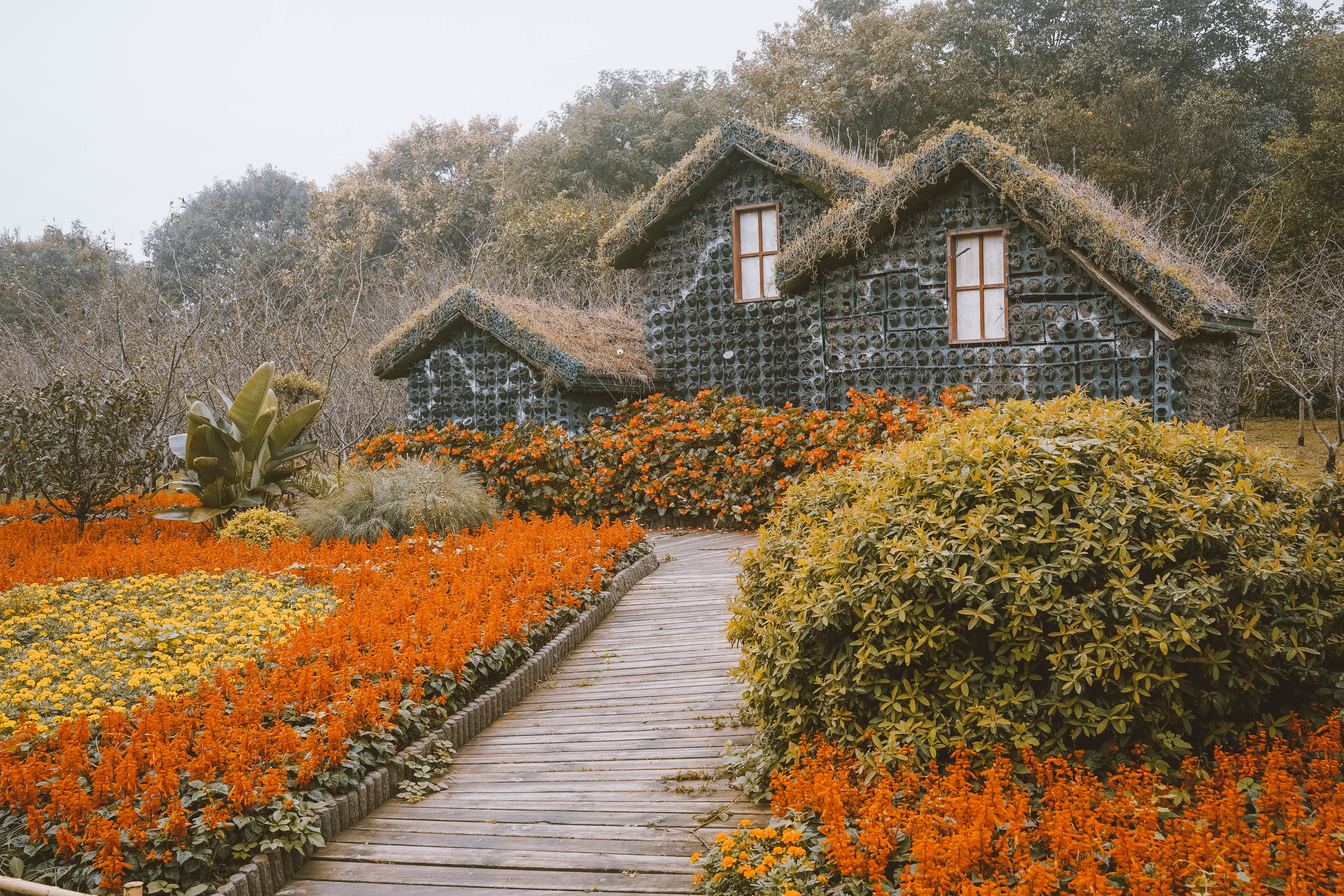 秋冬就要泡温泉呀,冬天一定要一起去泡温泉