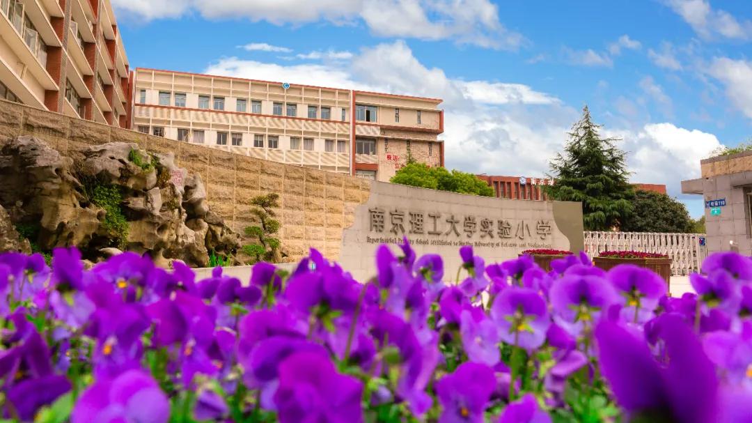 南京比较好的小学学校排名,南京名校小学最新排名
