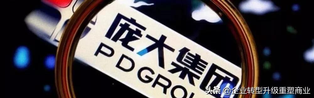 庞大集团破产原因,庞大汽车集团的现状