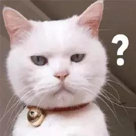 毛孩子发情期可以绝育吗,发情后怎么判断它需要绝育了