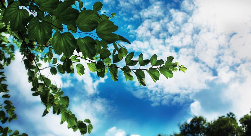 初秋的诗词经典赏析,初秋诗词大全100首