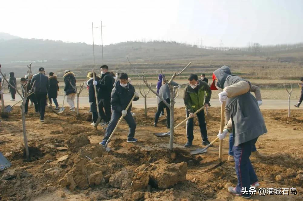 石岛即将开发的项目,石岛的项目