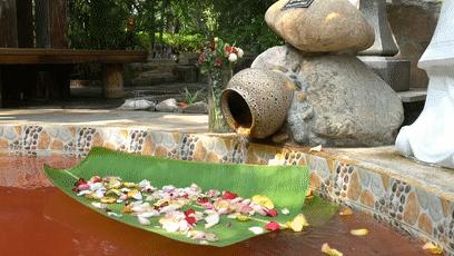 厦门天沐温泉恐龙侏罗纪,厦门天沐杏博湾温泉度假村