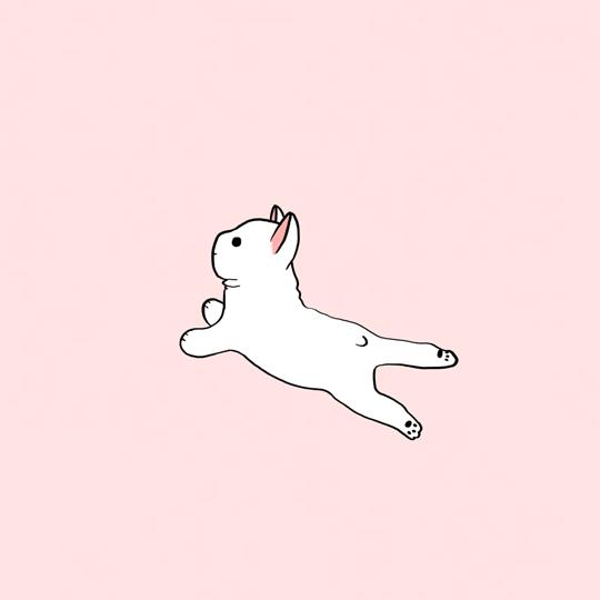 柠檬果有哪些用途,柠檬果实顶部叫什么