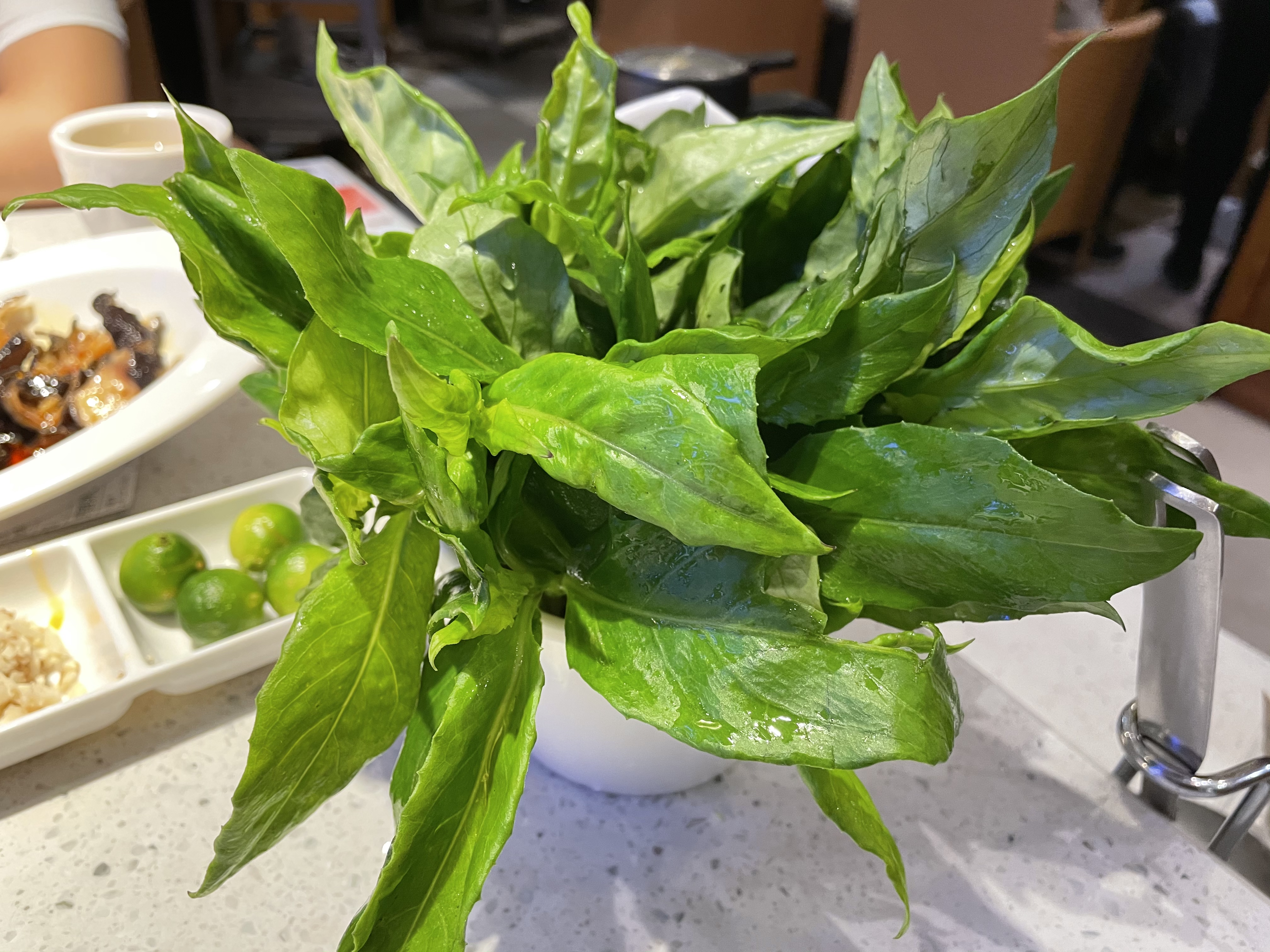 逐梦自贸海动椰城,逐梦海口嗨动椰城