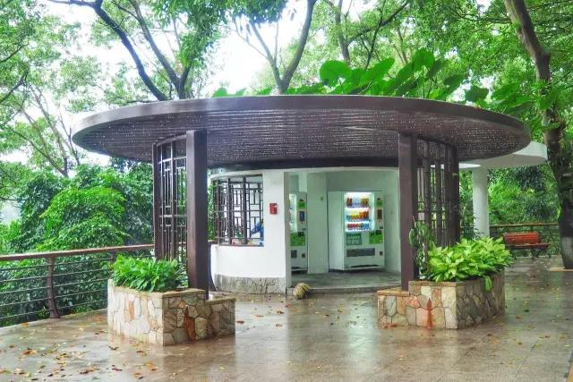 深圳，一个连拉屎都要发朋友圈的城市