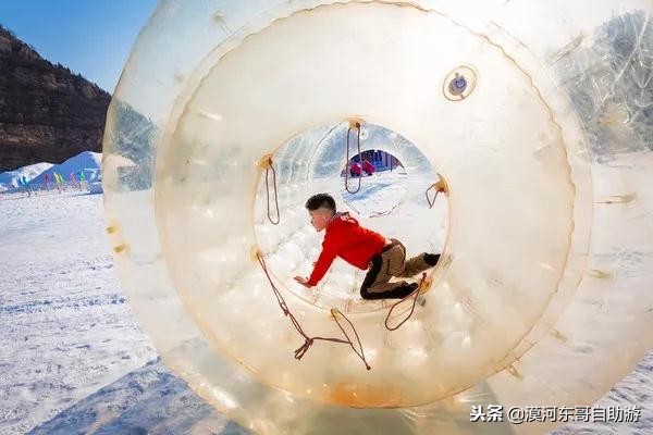 漠河极寒之旅,漠河遇到熊