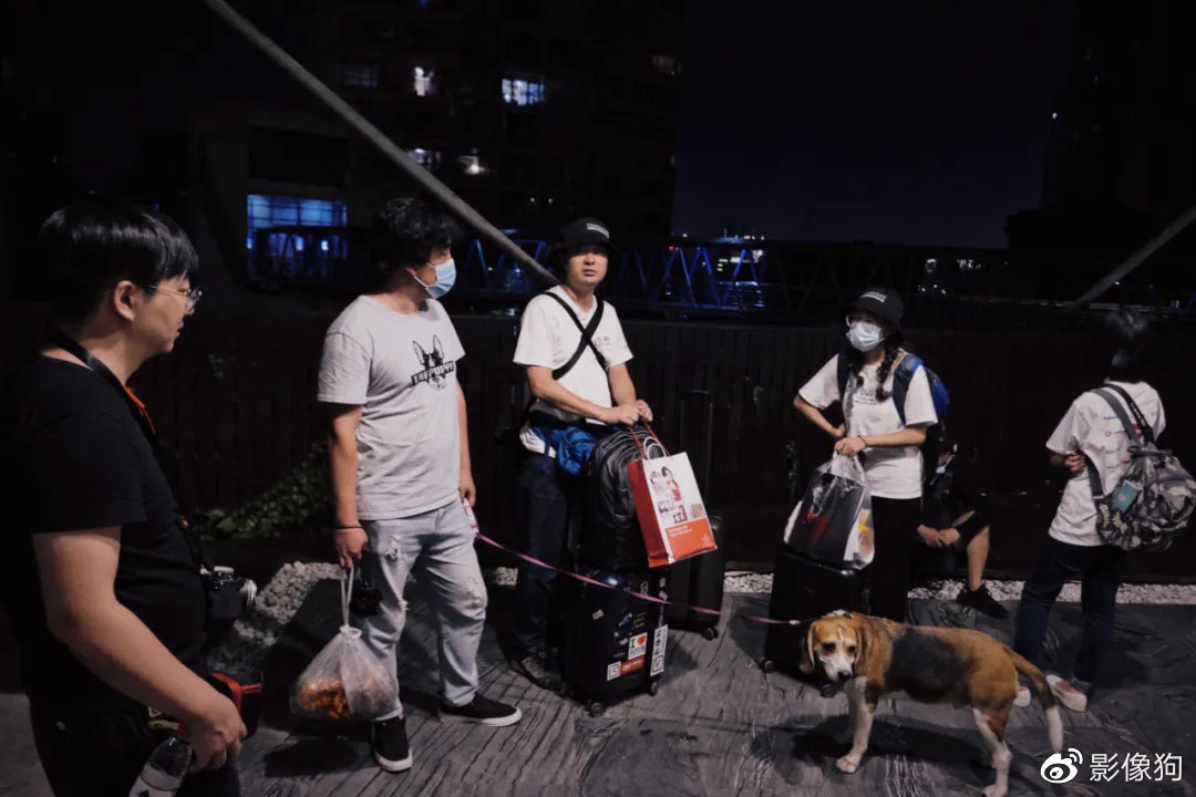 2019CMG视频影像大赛,cmg视频大赛