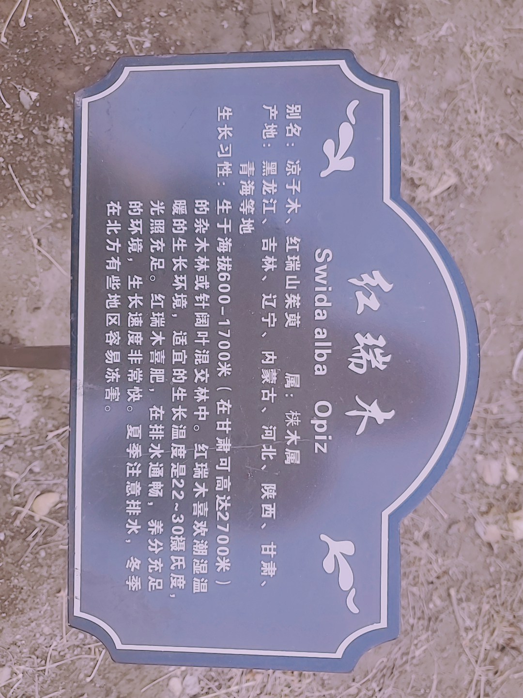 房屋测评,呼和浩特万锦香颂交房