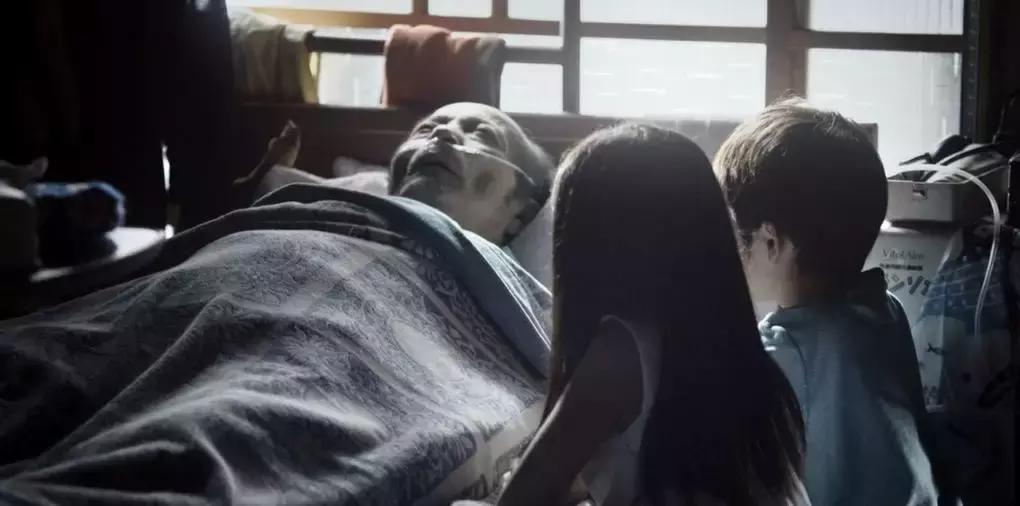 神作导演的最新神作,神作导演新片