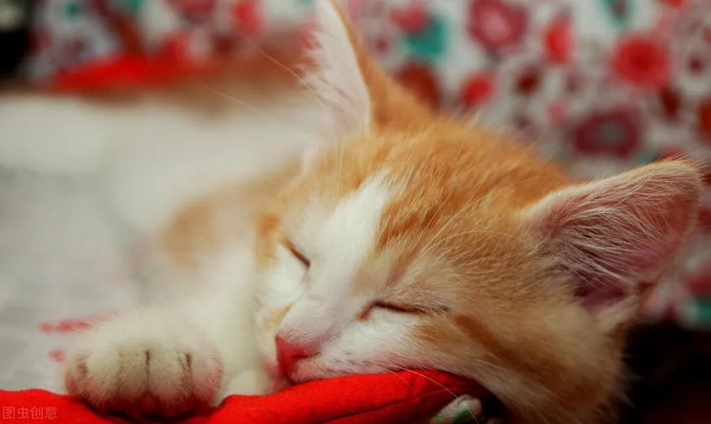 21天减脂简单好做,21天减脂塑形健身计划