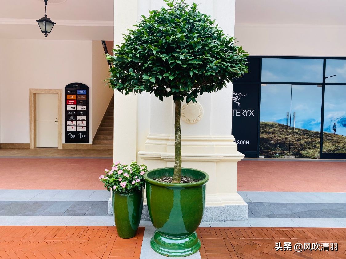 成都一个“意式”小镇火了，购物便宜品牌繁多，3500个免费停车位