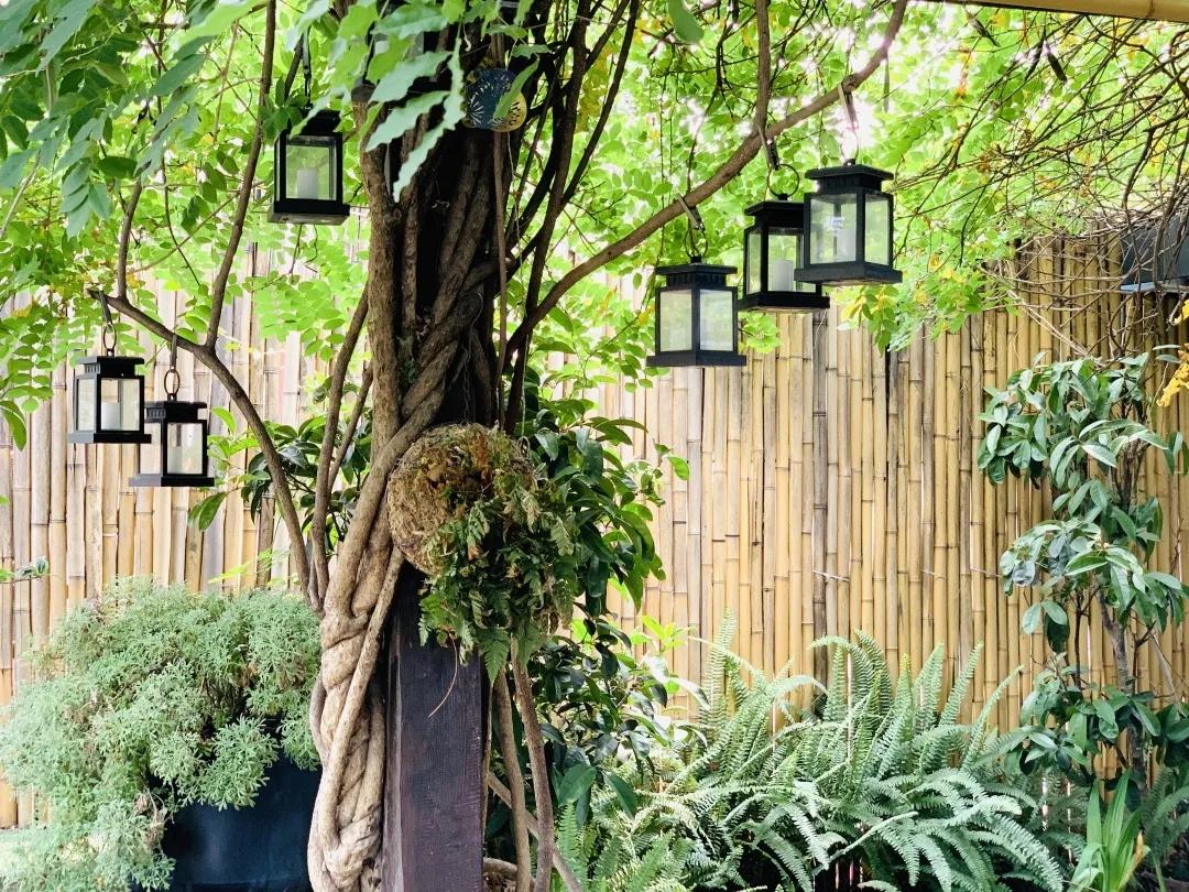 用阅读触摸成都|在成都不能错过的10家书店(下)