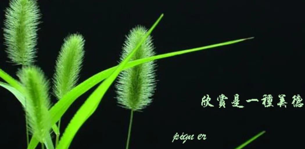 2022中考作文重庆,2020广州深圳中考作文